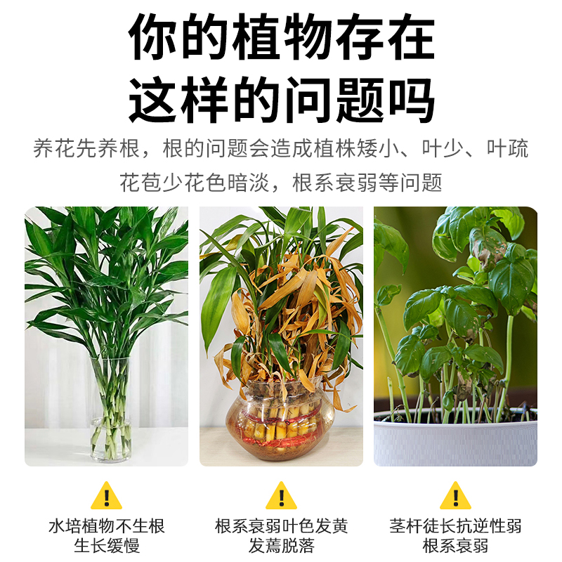 贝可施生根液快速爆根液发根生根水扦插用植物壮苗生根粉剂营养液 - 图0