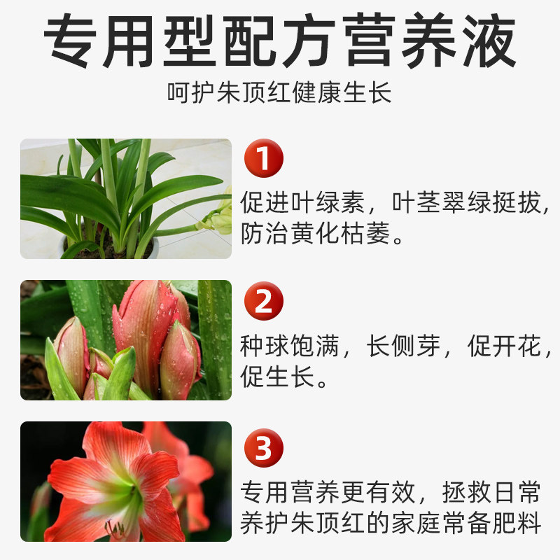 贝可施朱顶红专用营养液肥料催箭延花期防黄叶掉花苞促花催花绿叶,淘宝优惠券,粉丝福利购,淘宝优惠卷