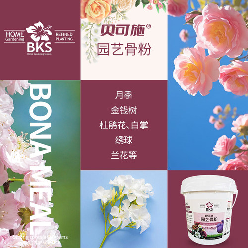 贝可施园艺骨粉花卉绿植通用型有机肥料促开花养根改善土壤营养液 - 图3