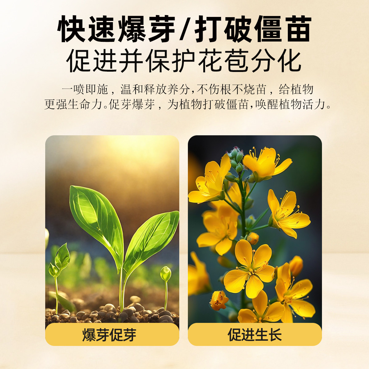 贝可施爆芽速母液多芽促芽催芽分化叶插花促花多肉营养液免稀释,淘宝优惠券,粉丝福利购,淘宝优惠卷