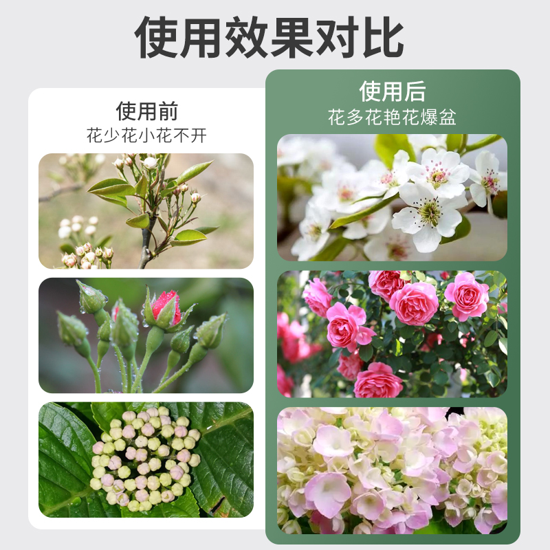 花多多2号1号二号一号水溶肥硫酸亚铁花肥料通用型官方旗舰店官网 - 图2