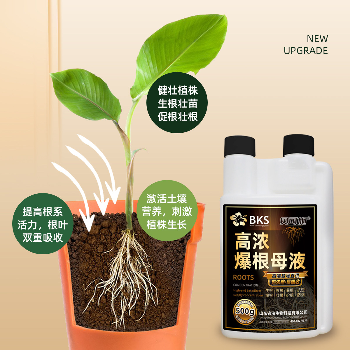 高浓爆根母液快速爆根快速生根壮苗植物养花水肥通用营养液生根液,淘宝优惠券,粉丝福利购,淘宝优惠卷