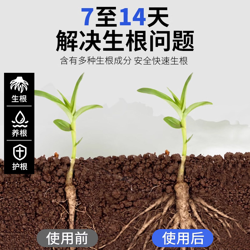 贝可施生根液枯萎烂根灵快速生根多肉扦插营养液高纯爆根粉旗舰店,淘宝优惠券,粉丝福利购,淘宝优惠卷