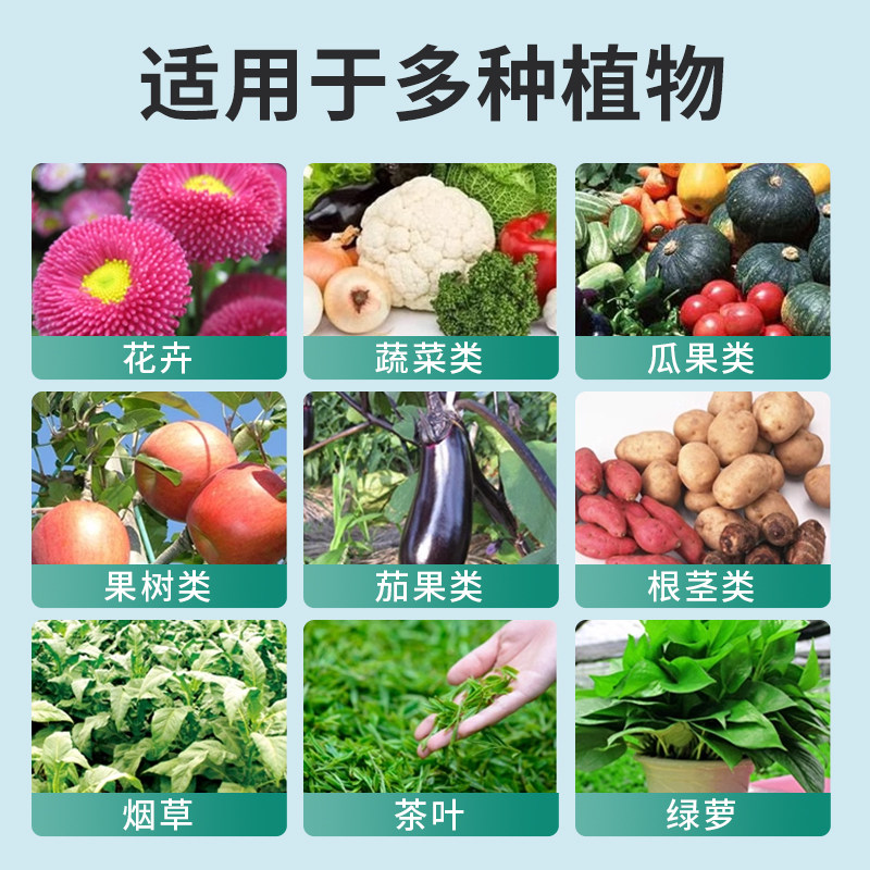 贝可施防腐烂根灵500g/瓶解决根部浇水引起烂根腐立枯根系弱不长,淘宝优惠券,粉丝福利购,淘宝优惠卷