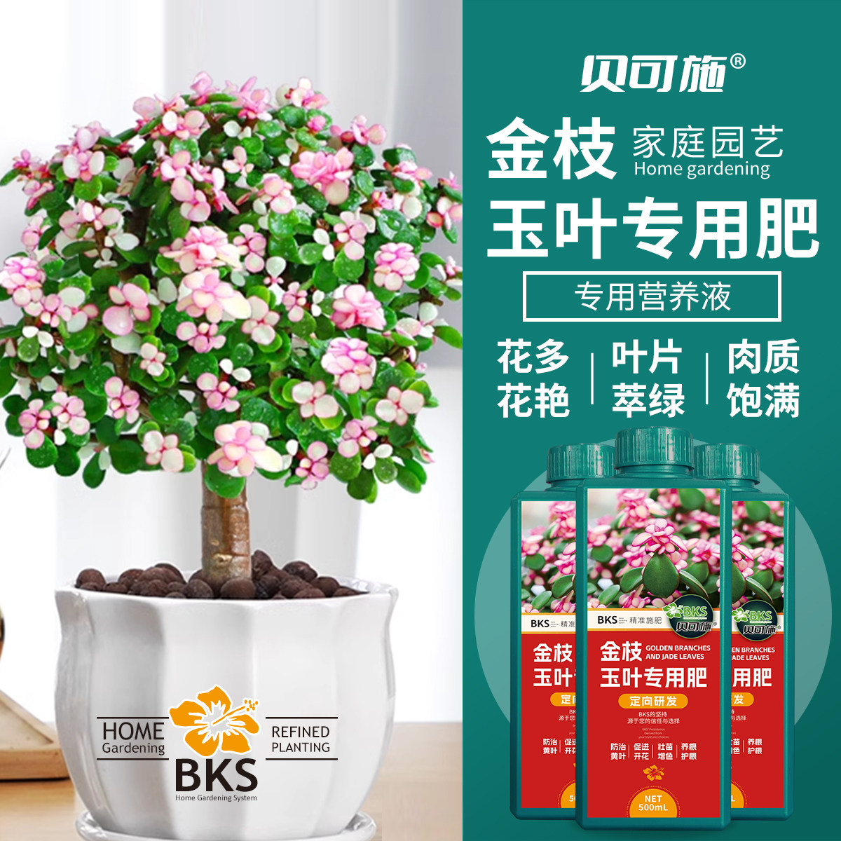 金枝玉叶专用肥防掉叶子花肥家用盆栽金枝玉叶通用营养液盆栽肥料,淘宝优惠券,粉丝福利购,淘宝优惠卷