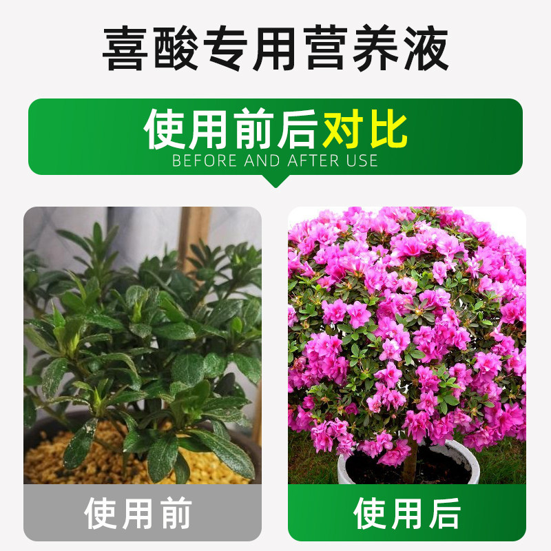 贝可施喜酸植物型通用营养液土壤调酸使用便捷花朵光泽调节ph,淘宝优惠券,粉丝福利购,淘宝优惠卷
