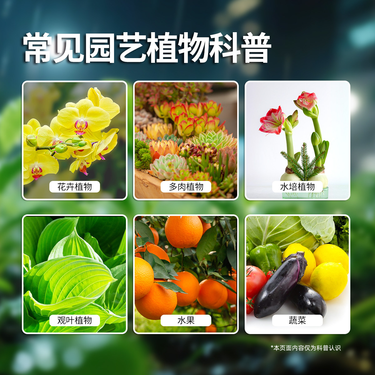 呋虫胺杀虫剂室内去除小飞虫克星月季花病虫害常用药蜘蛛专用药,淘宝优惠券,粉丝福利购,淘宝优惠卷