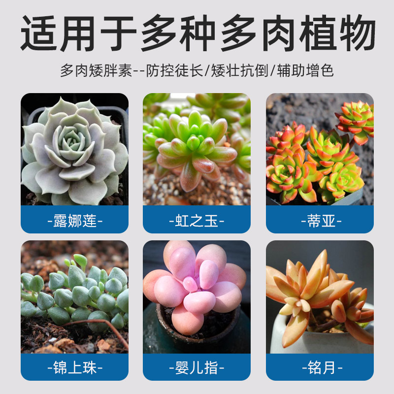 多肉爆芽矮胖素促芽增色植物花卉盆栽家庭园艺通用防徒长营养液,淘宝优惠券,粉丝福利购,淘宝优惠卷
