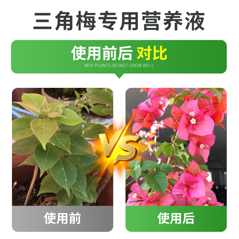 贝可施三角梅专用营养液液体肥花肥水培发财树月季养花草莓肥料,淘宝优惠券,粉丝福利购,淘宝优惠卷
