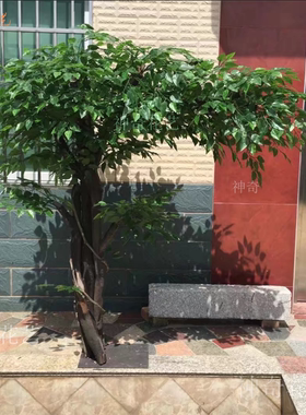 仿真榕树大型植物酒店婚庆樱花