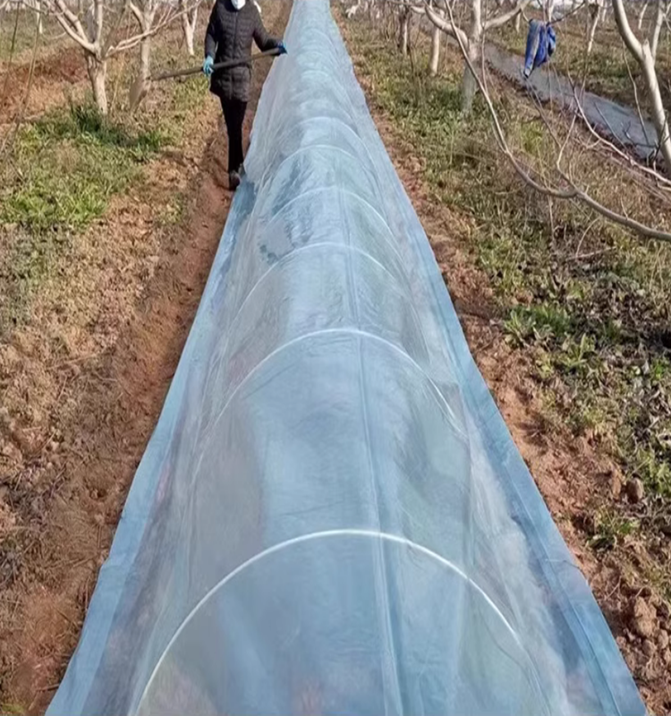 大朋架子支架棚拱条菜地遮阳防晒网杆保温花农用小弓棚骨防寒育苗,淘宝优惠券,粉丝福利购,淘宝优惠卷