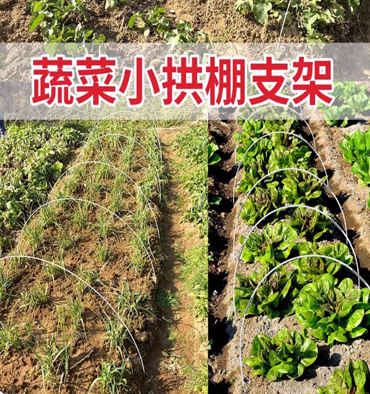 大朋架子支架棚拱条菜地遮阳防晒网杆保温花农用小弓棚骨防寒育苗,淘宝优惠券,粉丝福利购,淘宝优惠卷