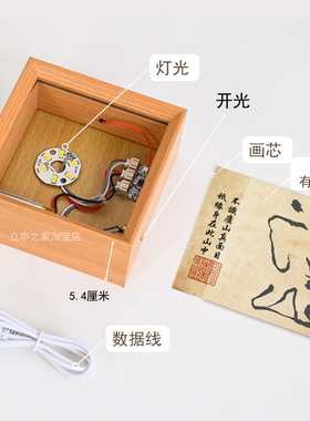 植物树叶标本发光画相框灯光摆件