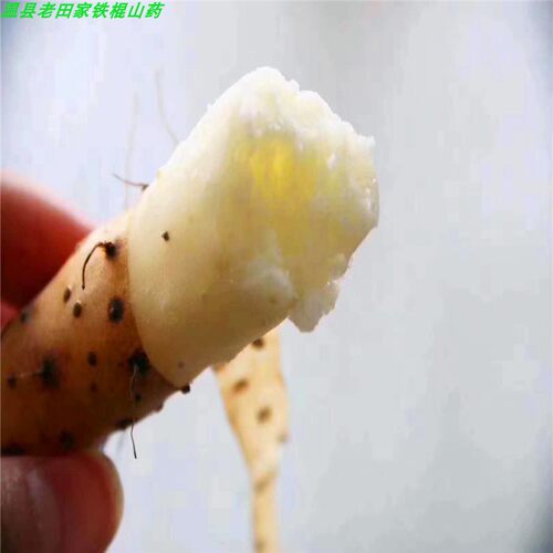 河南特产怀庆垆土正宗铁棍山药铁杆淮山温县农家新鲜精选5斤粉糯 - 图2