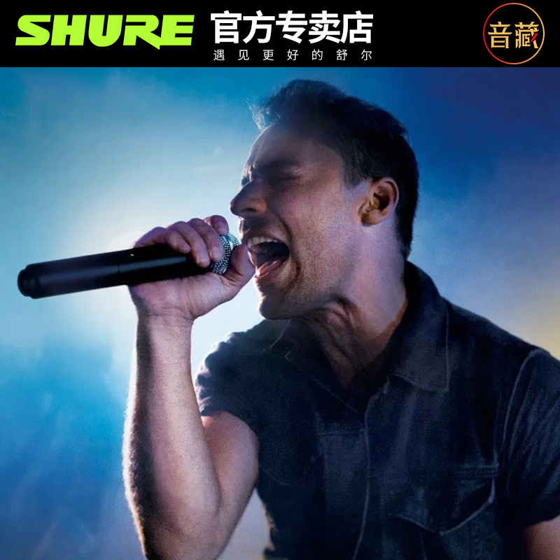 shure/舒尔beta58a无线话筒户外直播k歌设备全套sm58一拖二麦克风 - 图2