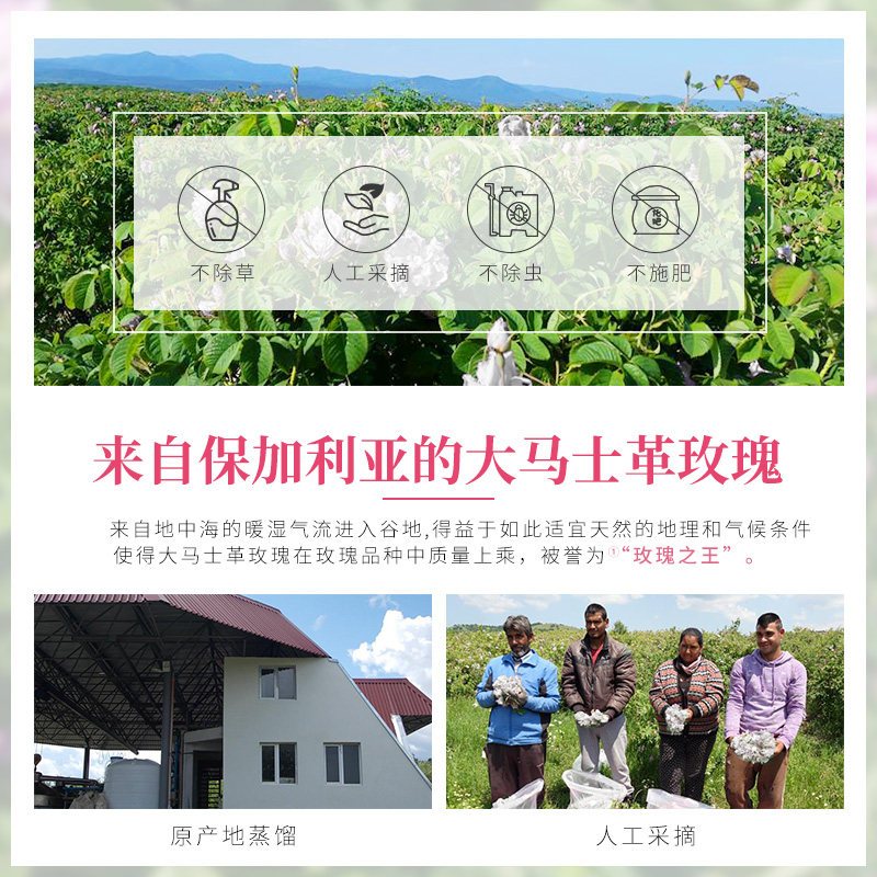 cy蔻也保加利亚大马士革官网爽肤水 COMYENN蔻也纯露/花水