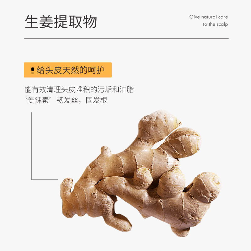 KONO防脱固发洗发水生姜精华止痒强韧控油滋养头皮官方正品洗发膏 - 图2