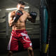 Hayabusa new sports professional boxing shorts