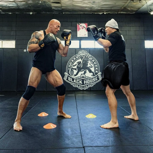 Hayabusa Falcon Boxing Gloves New T3 Мужские и женские боевые тренировки.