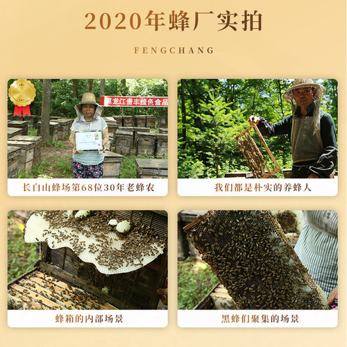 东北特产黑蜂椴树蜜250g罐椴树雪蜜纯白结晶蜜无添加纯土蜂蜜包邮 - 图1