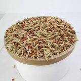 Смешанный рис, голуби, кормившие сорго, кормящие цыплят без кукурузных шлаков, питательный пищевой пищевой голуб
