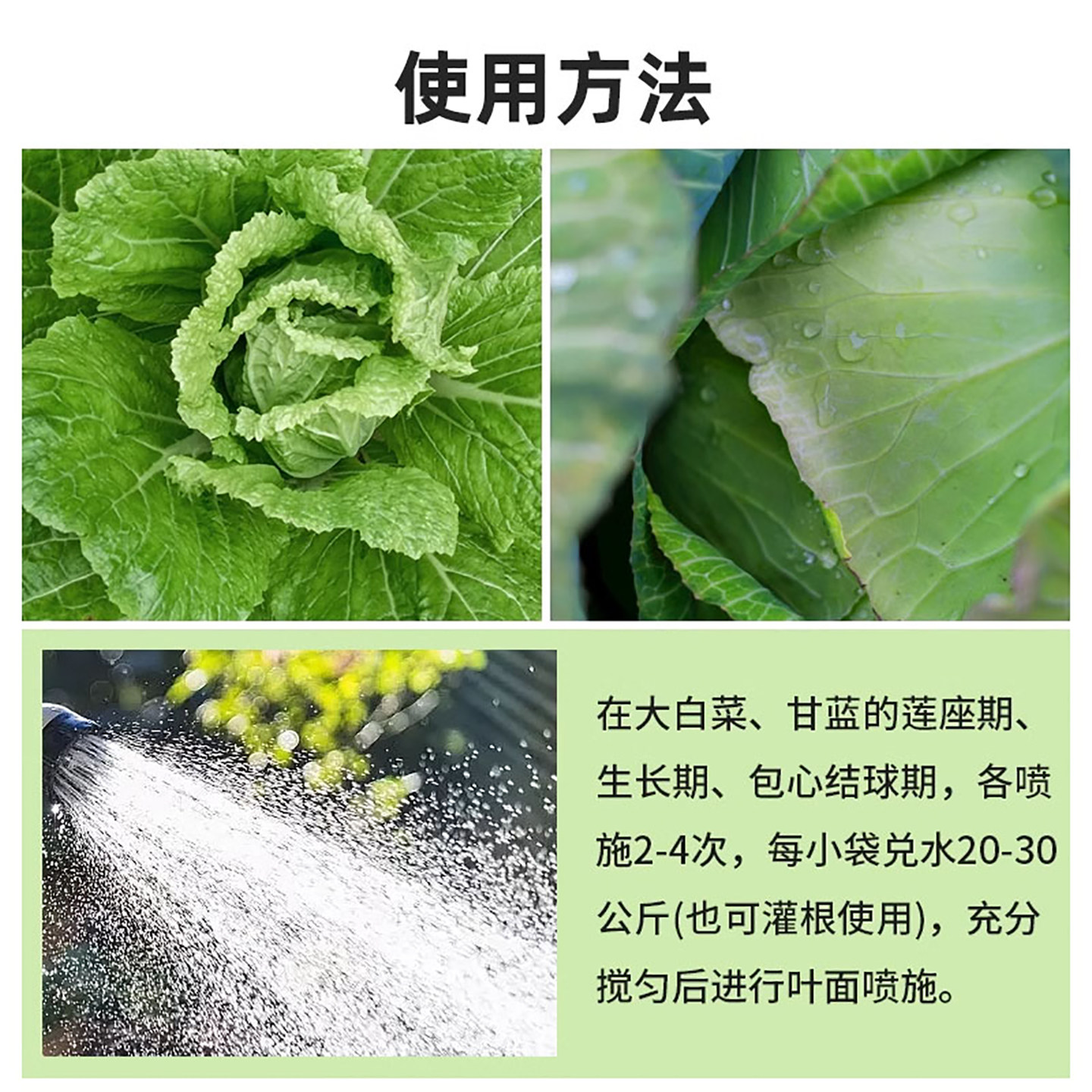 白菜防腐包心剂调节剂大白菜甘蓝包心花菜专用中量元素水溶叶面肥,淘宝优惠券,粉丝福利购,淘宝优惠卷