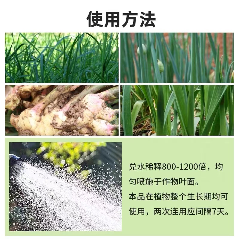 葱姜蒜韭菜干尖灵黄卷干叶菌净软腐茎枯灰叶霉叶片浓绿亮泽叶面肥