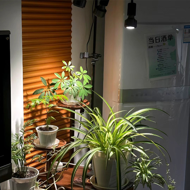 光联天下全光谱植物生长灯泡室内盆栽绿植热植补光灯E27螺口射灯,淘宝优惠券,粉丝福利购,淘宝优惠卷