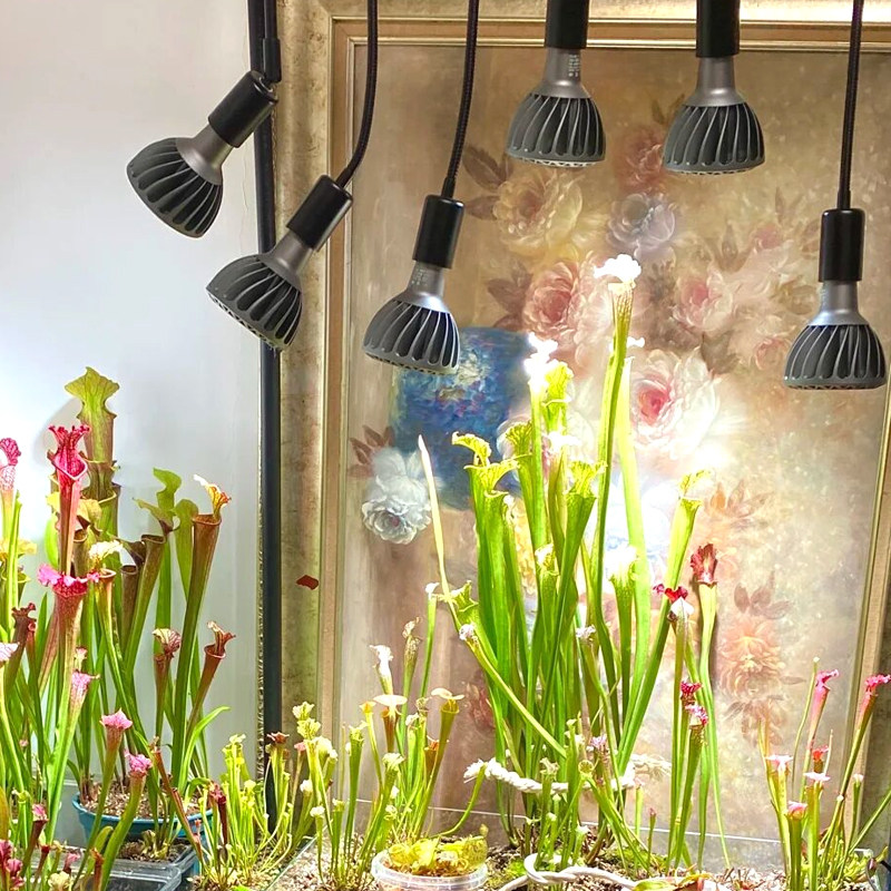 led全光谱植物补光灯室内家用绿植盆栽花卉热植生长灯鱼缸爆藻灯,淘宝优惠券,粉丝福利购,淘宝优惠卷