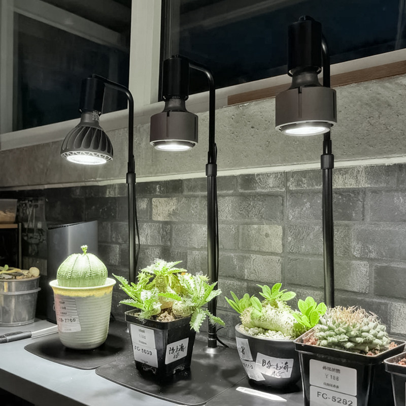 光联天下桌面植物生长灯小型盆栽微景观龙舌兰块根仙人球补光台灯,淘宝优惠券,粉丝福利购,淘宝优惠卷