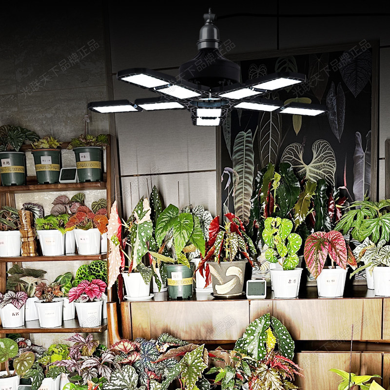 光联天下折叠款植物生长灯全光谱自然白光仿太阳光绿植热植补光灯,淘宝优惠券,粉丝福利购,淘宝优惠卷