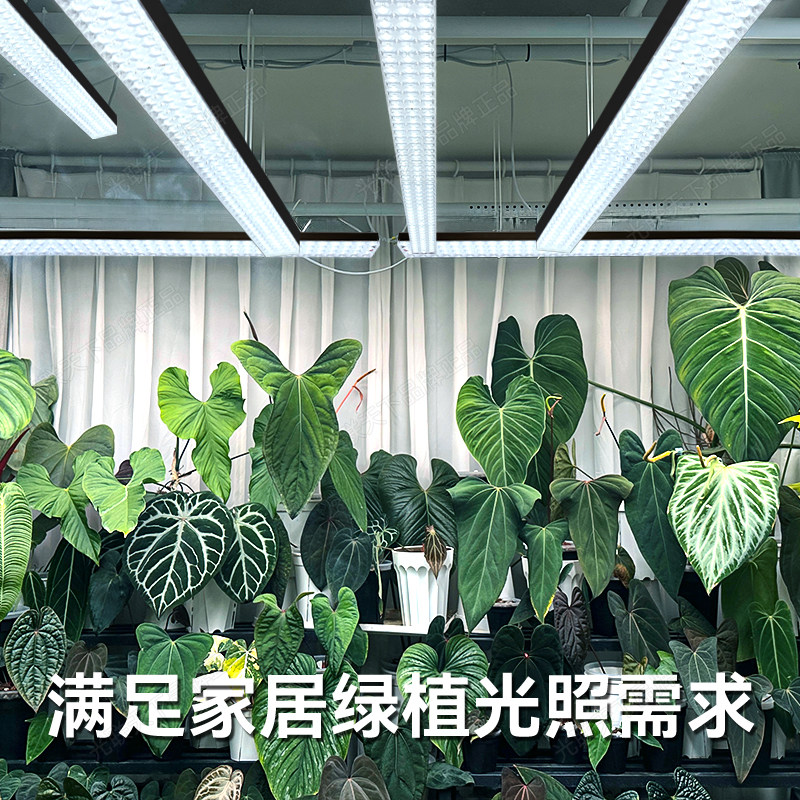 光联天下热植观叶类植物生长灯长条排灯全光谱仿太阳光植物补光灯,淘宝优惠券,粉丝福利购,淘宝优惠卷