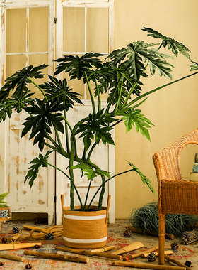 高仿真景观植物禅意迎客松绿植八角金盘假树老桩植物热带雨林造景