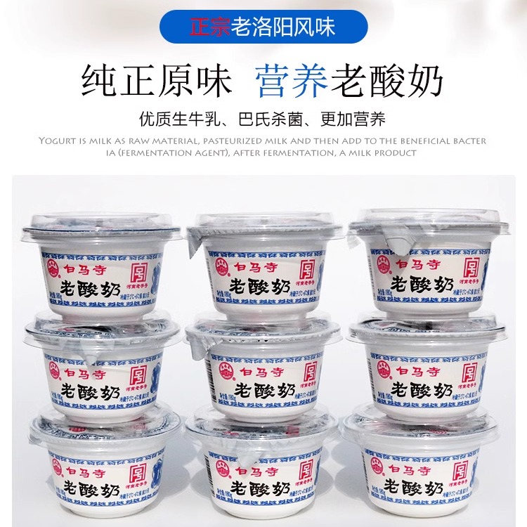 白马寺老酸奶全脂风味酸牛奶河南老款浓稠固体益生菌发酵乳160g碗
