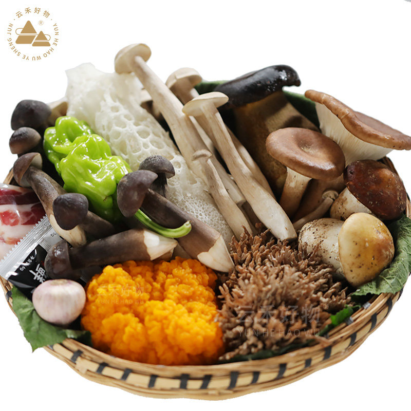 套餐云南菌子火锅食材新鲜菌菇拼盘牛肝菌云南野生菌鲜蘑菇组合包