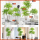 Sentai Simulated Green Plants Nandina Bamboo Live Room Atmosphere Tree