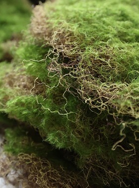 仿真青苔藓草皮草坪植物墙景观