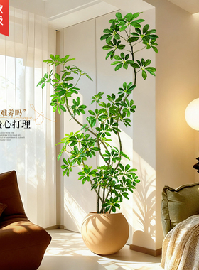 鸭脚木仿真绿植高端轻奢室内客厅装饰落地摆件仿生植物大盆栽假树