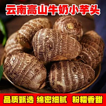 淘金币！三斤云南高山牛奶毛芋[5元优惠券]-寻折猪