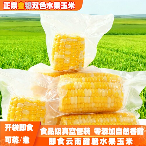 水果玉米开袋即食云南水果甜玉米新鲜真空包装免煮粗粮代餐早餐 - 图0