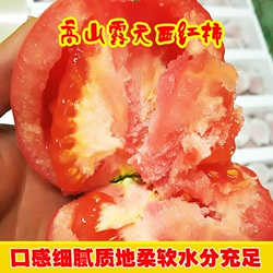 高山露天沙瓤西红柿5斤【中果180-230克】