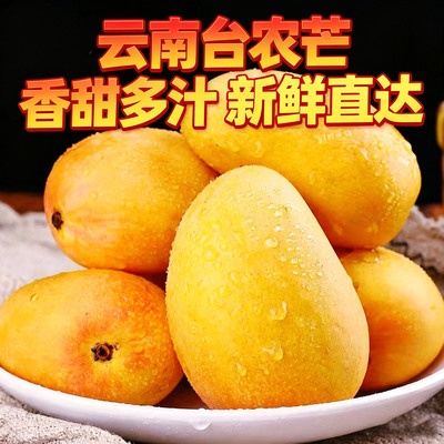 台芒小台农芒果云南保山高山芒果整箱现摘