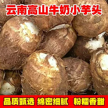淘金币！三斤云南高山牛奶毛芋[5元优惠券]-寻折猪