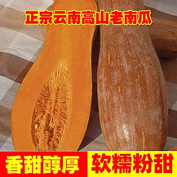 【2-3斤】云南老南瓜农家种[5元优惠券]-寻折猪