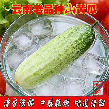3斤！云南老品种新鲜水果黄瓜[5元优惠券]-寻折猪