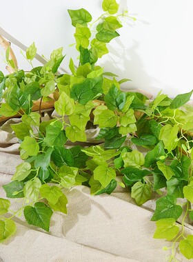 仿真藤条假花藤蔓花藤绿叶树叶子绿植塑料包空调下水管道遮挡装饰