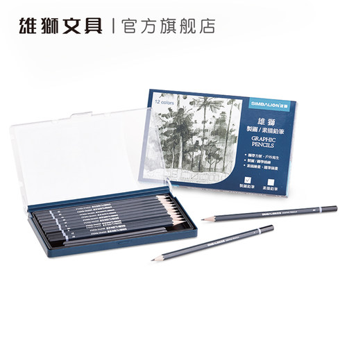 雄狮素描铅笔初学者绘画速写2h4b6b8b软中硬绘图2比4b美术用品10b画画套装hb美术生专用工具 - 图0
