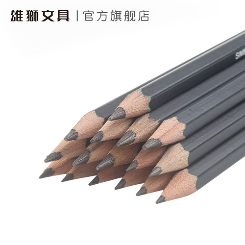 雄狮素描铅笔初学者绘画速写2h4b6b8b软中硬绘图2比4b美术用品10b画画套装hb美术生专用工具 - 图1