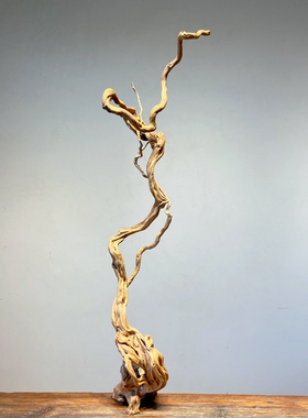 杜鹃树根单根枝条插花软装树根鱼缸造景枯木鸟站杆装饰摆件