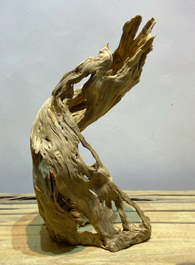 天然树根风化木枯木根雕摆件爬宠造景木沙漠缸装饰守宫晒背台躲避